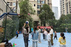 业余球员在社区中哪里可以找到好的训练环境